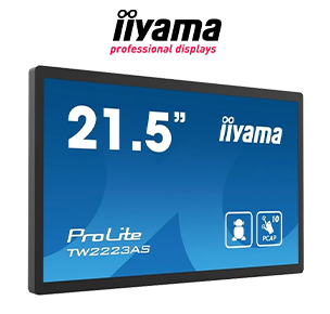 iiyama 22” ProLite monitor