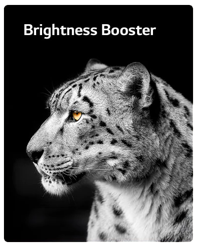 Brightness Booster